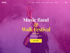 Musician Band Website